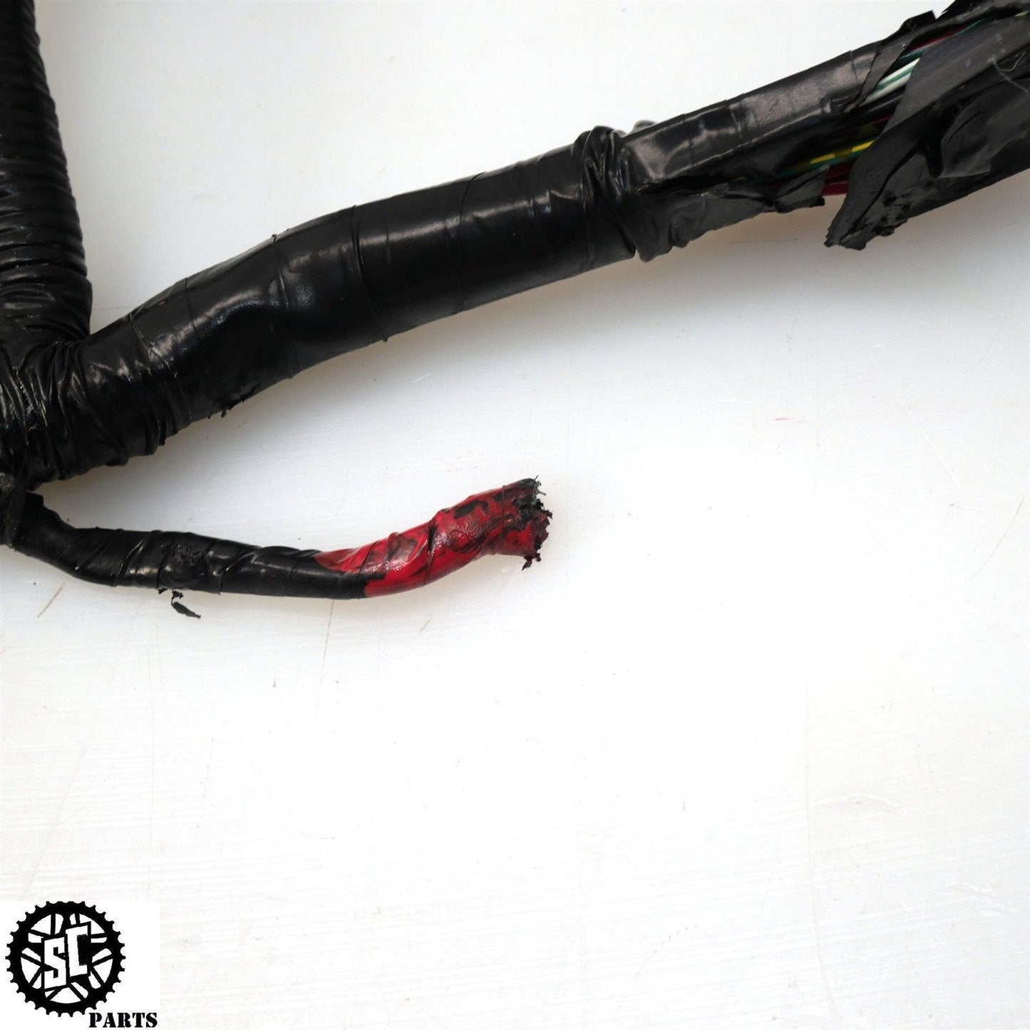 2001-2006 HONDA CBR600 F4I MAIN WIRING HARNESS MINT NO CUTS