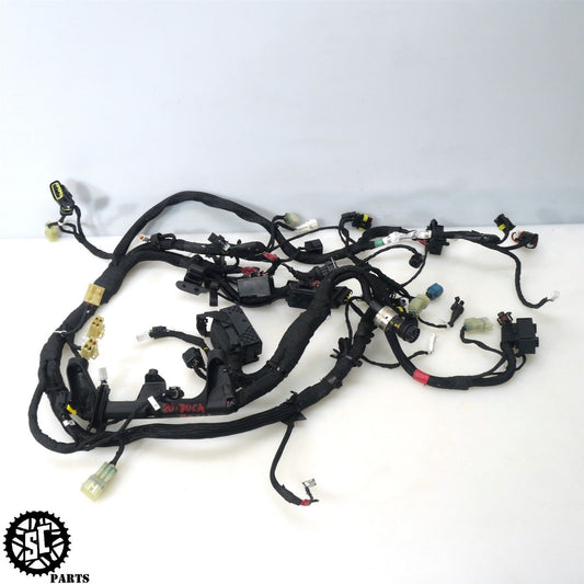 20-23 DUCATI PANIGALE V2 MAIN WIRING HARNESS NO CUTS D27