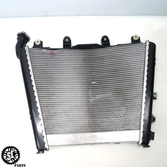 20-23 BMW S1000RR RADIATOR 17118356804 B32