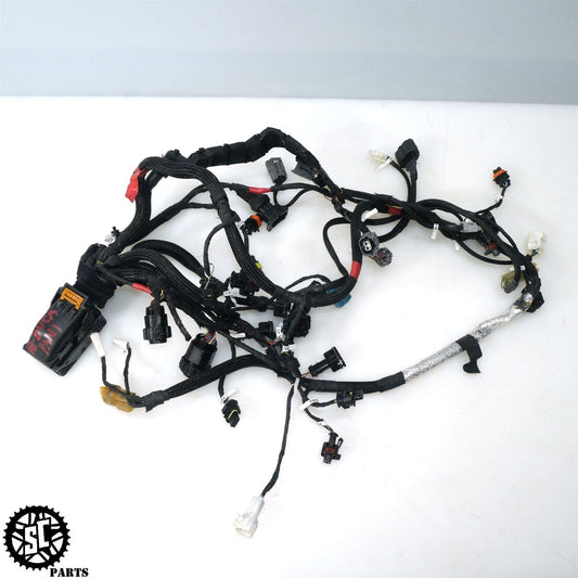 2018-2022 DUCATI PANIGALE V4S ENGINE WIRING HARNESS D33