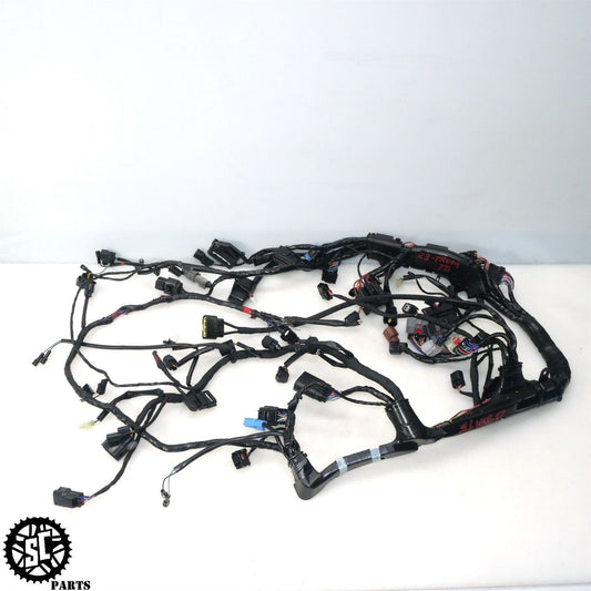 22-23 TRIUMPH TIGER 1200 WIRING HARNESS T25