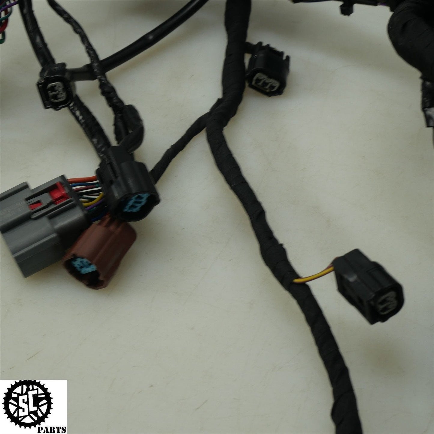 22-23 TRIUMPH TIGER 1200 WIRING HARNESS T25