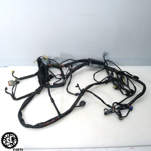 2007 HARLEY-DAVIDSON SOFTAIL FXST MAIN WIRING HARNESS NO CUTS HD53