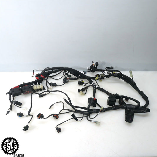 2017-2021 DUCATI MULTISTRADA 950 MAIN WIRING HARNESS D13